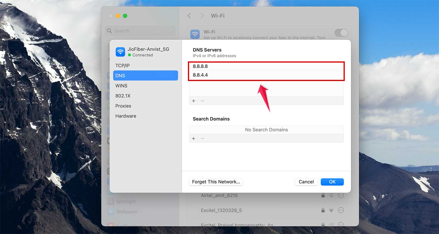 add dns and click ok in wifi settings in mac