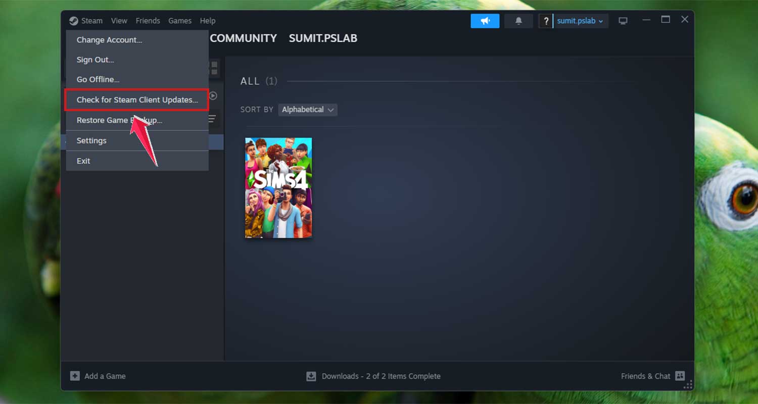 click on check for steam client updates in stam app in windows