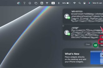 click on options then tap on show more on mac