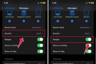 click on sounds then turn on badges