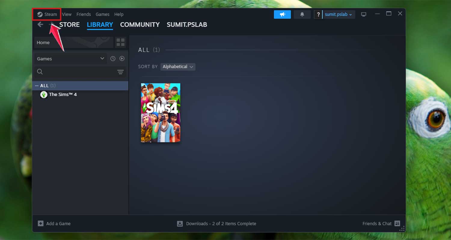 click on steam in top right corner in steam app in windows