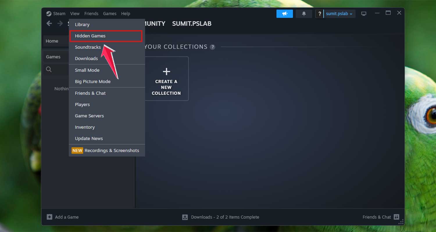 click on the hidden games in view menu in steam app in windows
