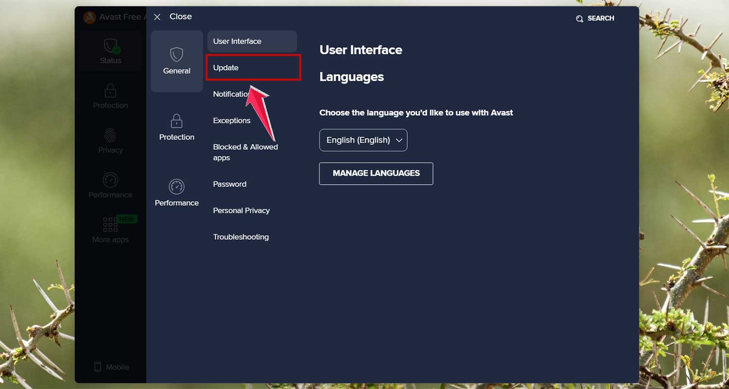 click on update in settings in antivirus app in windows