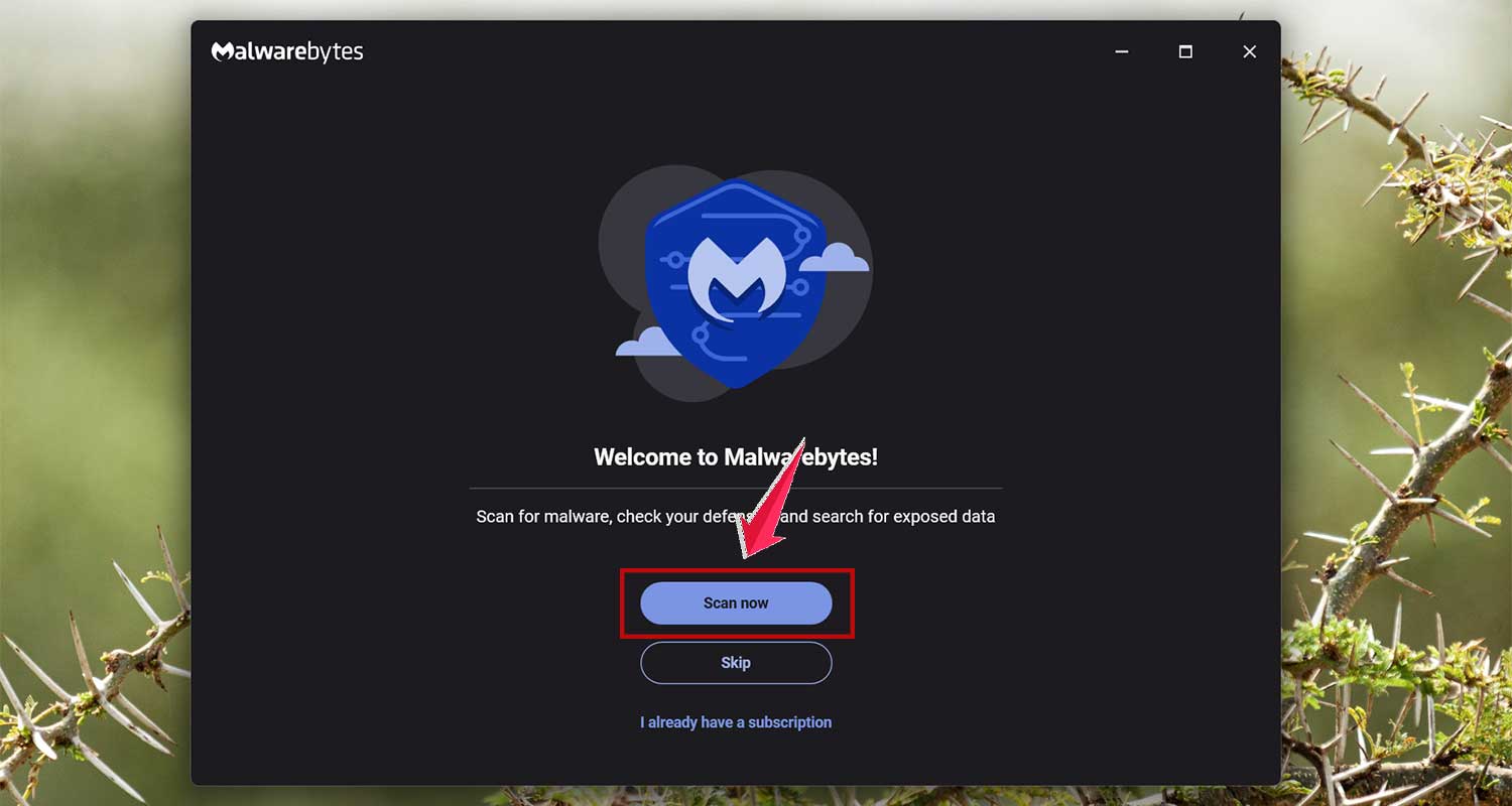 click scan now in malwarebytes in windows