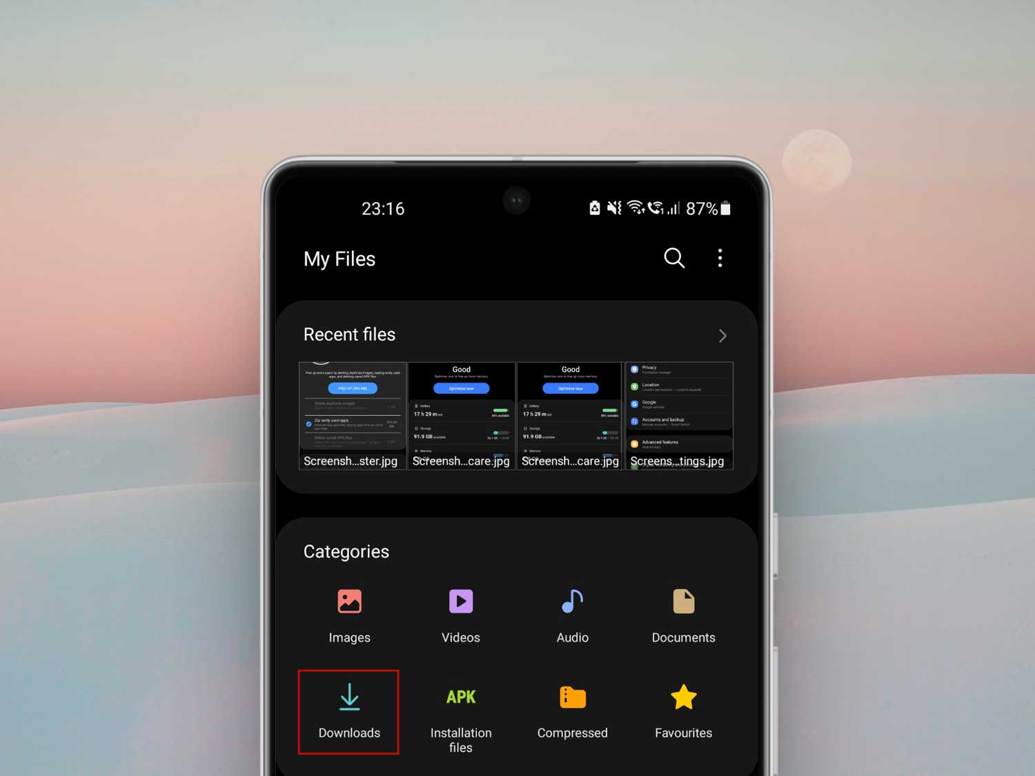 downloads folder in file manager in android