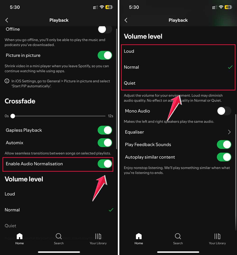 enable audio normalisation then change the volume level