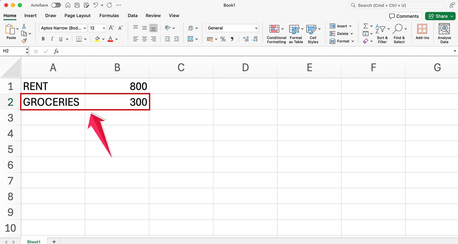 enter groceries in cell a2 and value in cell b2 in ms excel