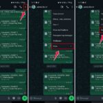 export chat in whatsapp