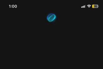 face id required to open netflix