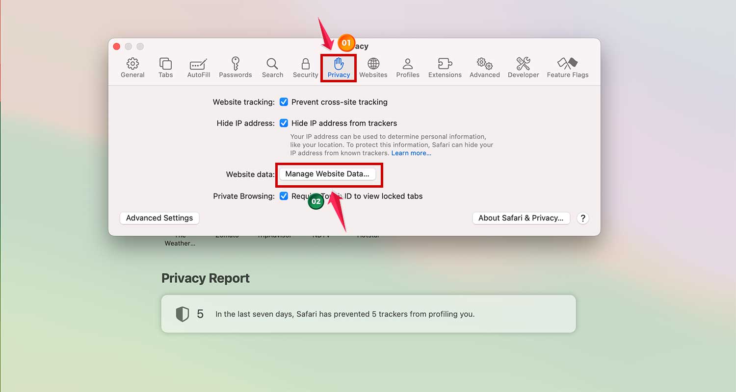 go to privacy and then manage website data in safari in mac