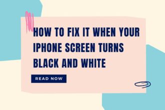 how to fix it when your iphone screen turns black and white featured