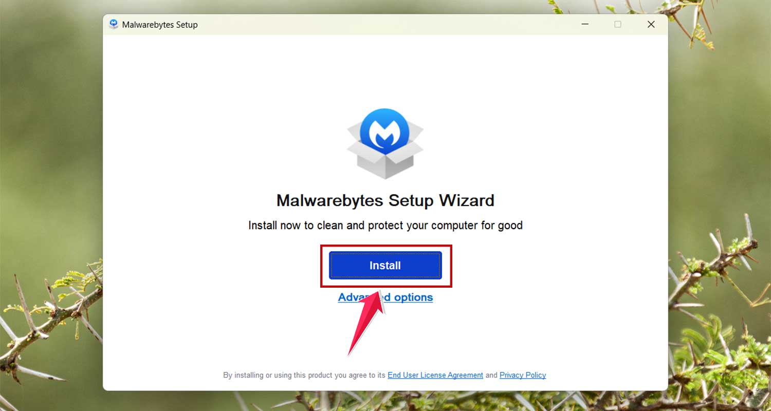 install malwarebytes in windows
