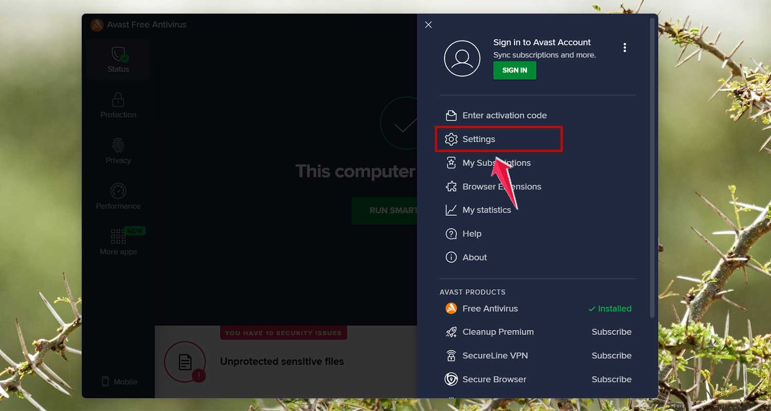open settings of your antivirus
