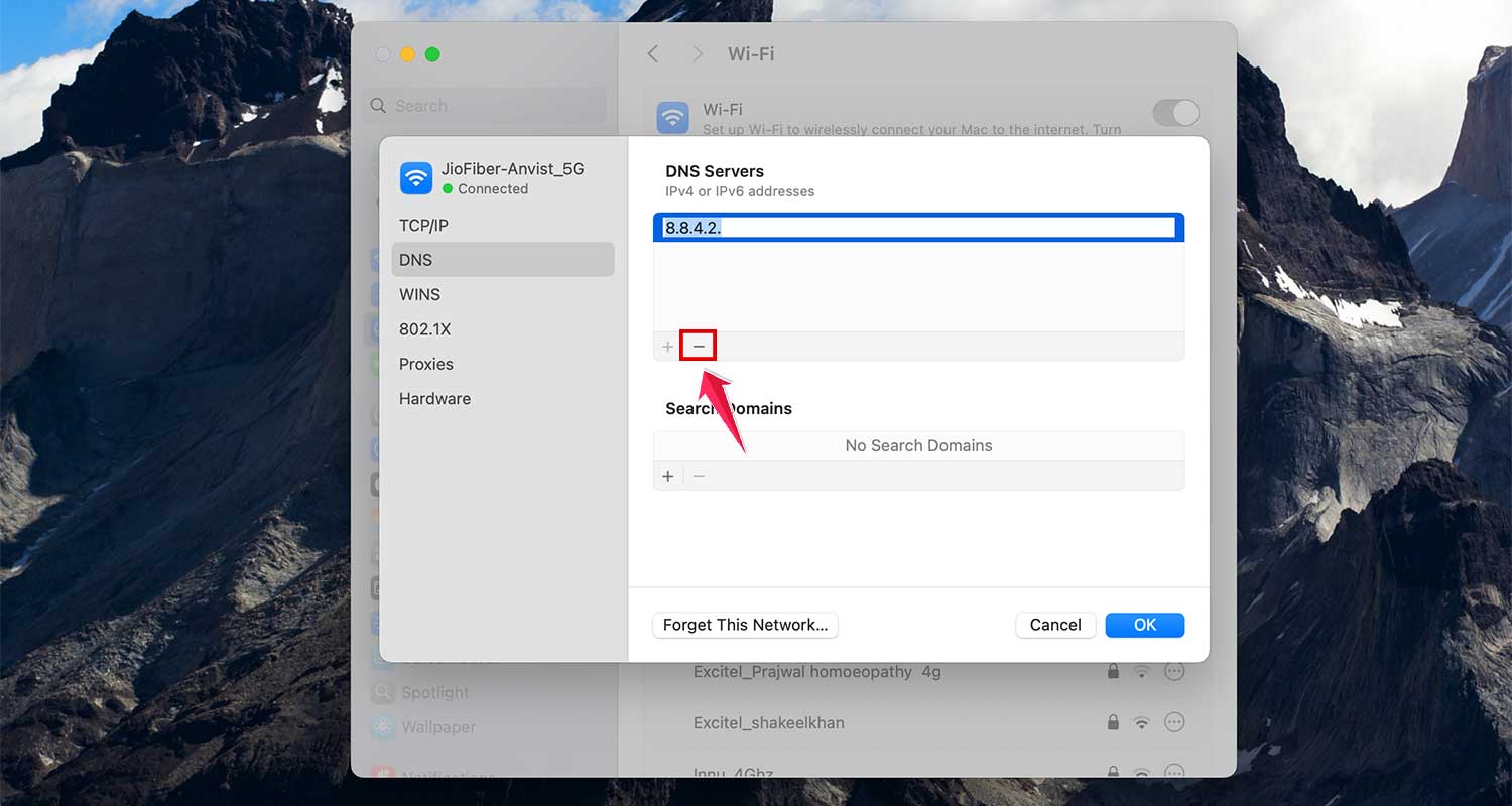 remove dns setting in settings in mac