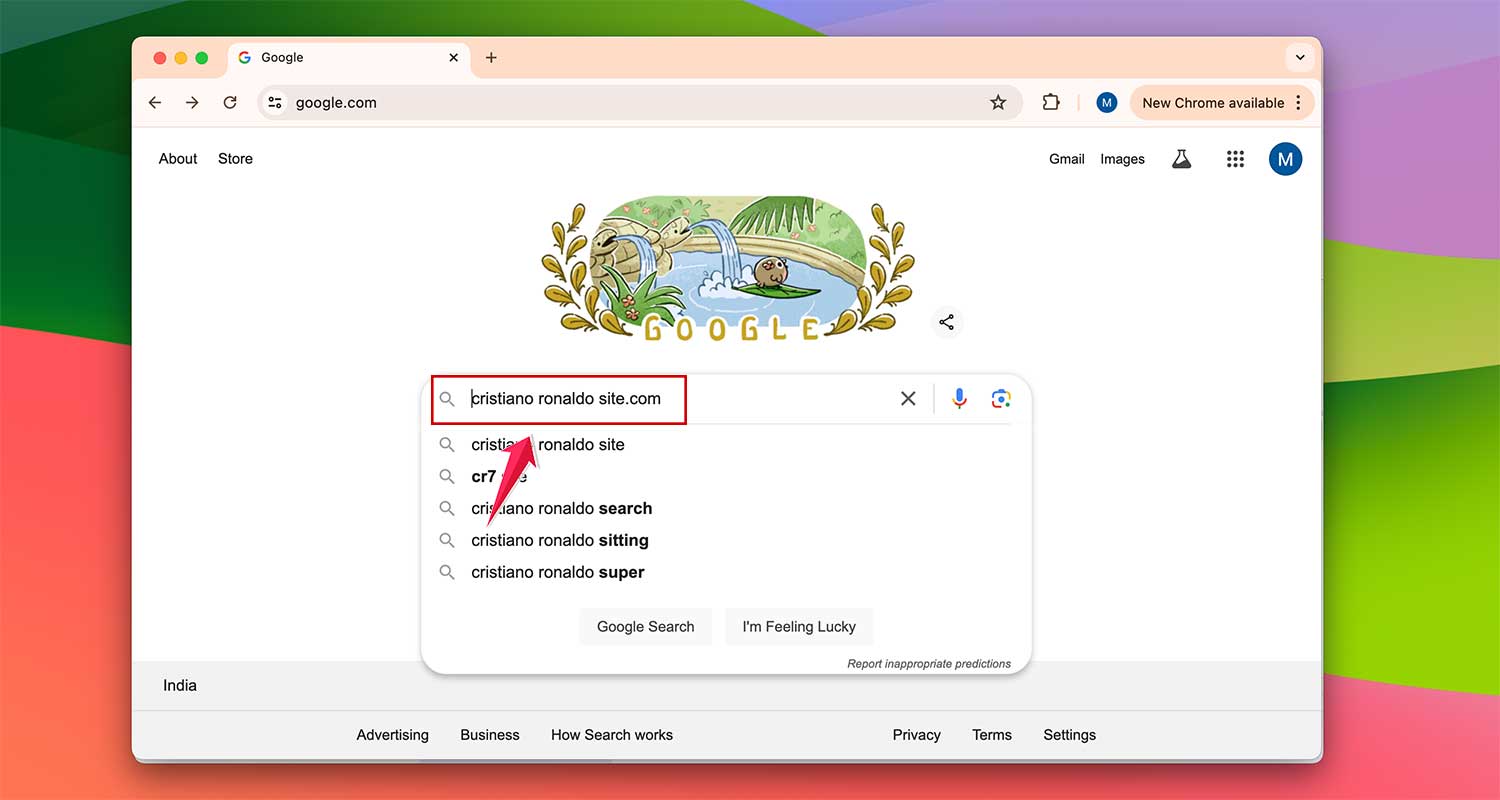 search instagram accounts in google using site.com
