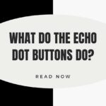 what do echo dot buttons do featured