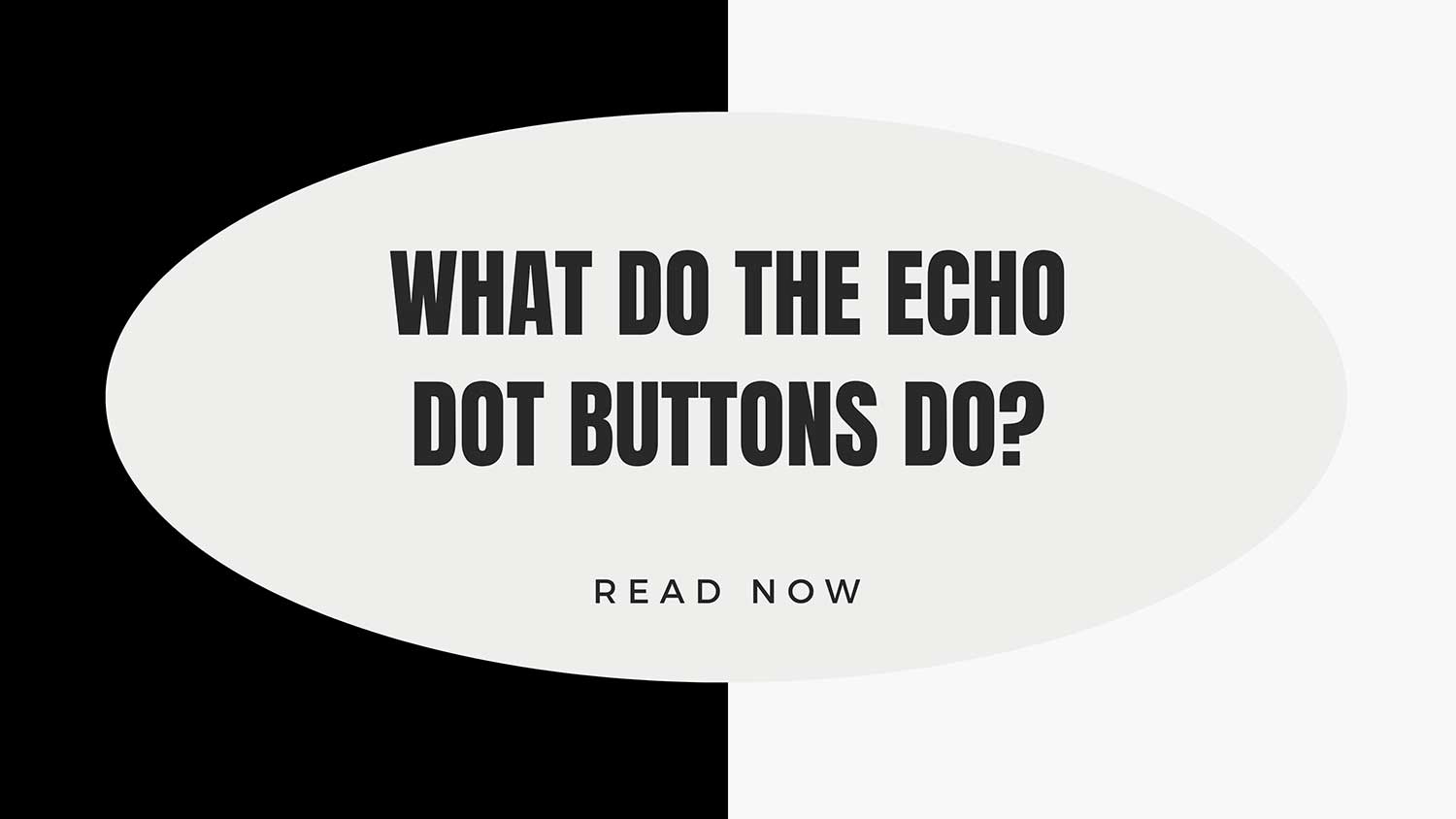 what do echo dot buttons do featured